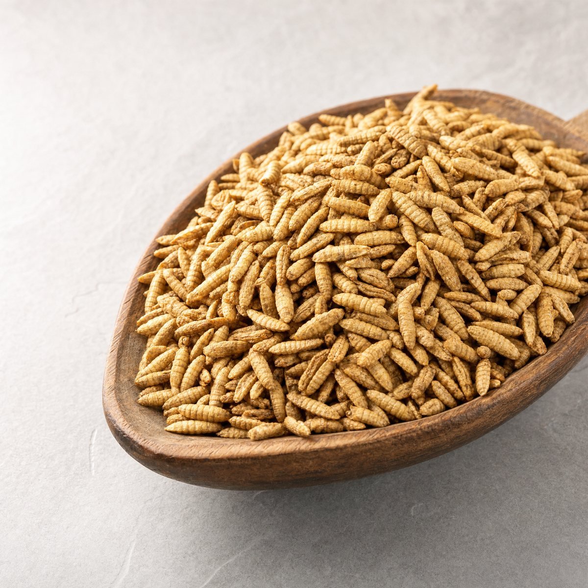 Dried black soldier fly larvae presented as a clean, matte high-protein animal feed commodity