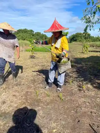 Field application activity used for agricultural learning and validation